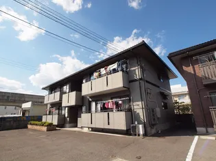 アムールAの画像