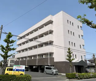 グレイスソフィアの画像