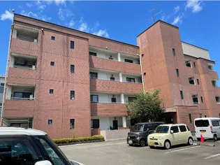 リヴィエール辰起の画像