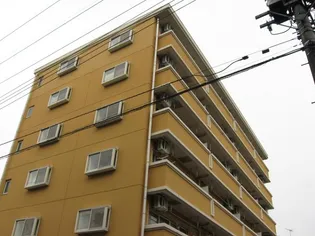 ベルウインズの画像