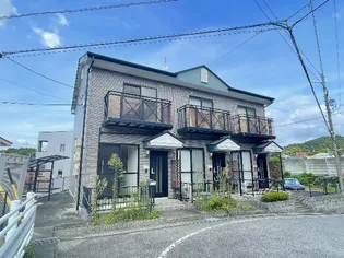 グレイスⅤの画像