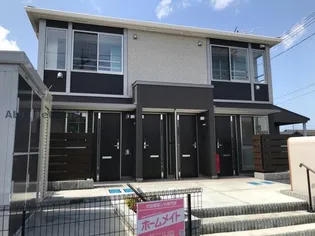 グランド コウヨウの画像