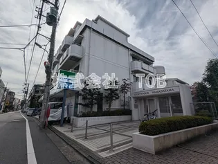 エイティフォーはまだ山の画像