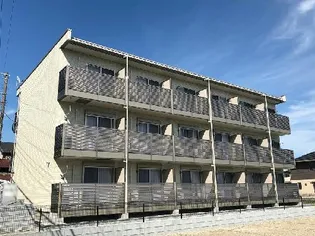 ミランダYIIIの画像