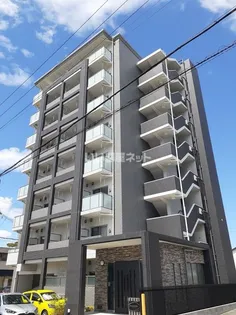 プルミエールレーブの画像