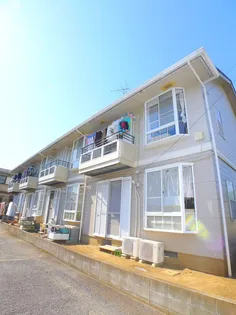 ライトエリカの画像