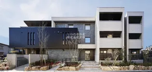 プルミエ エトワールの画像