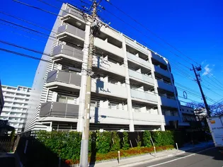 アルテカーサアリビエ綾瀬の画像