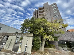 ロイヤル リージェントの画像