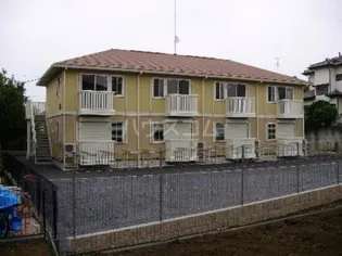 チェリーセージの画像