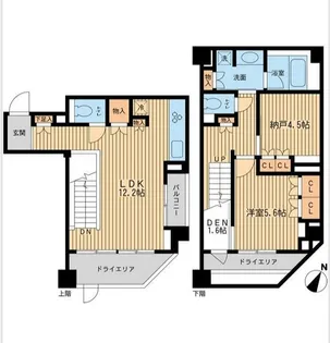 レジデンス三宿【1階】の間取り