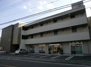 メープルガレの画像