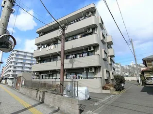 アイランドパレスの画像