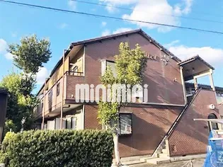 パレドールBの画像