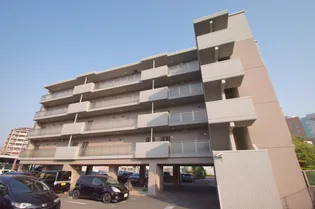 オータムレーベンの画像