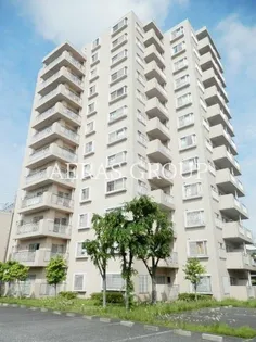 ライブ赤羽の画像