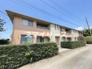 ベルリードMの画像