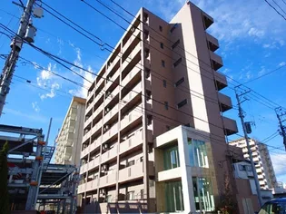 モア ベリーの画像