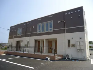 モダンコートの画像