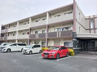 プレジールIの画像