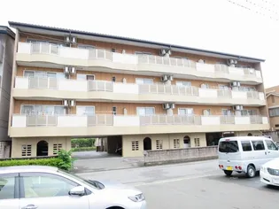 楽住庵の画像