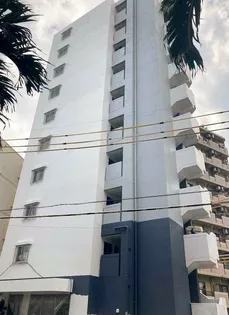 フルフィールタイパナの画像