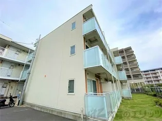 レオネクストななみの画像