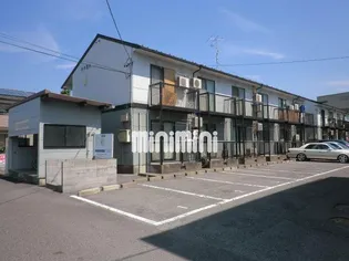 けやき Aの画像