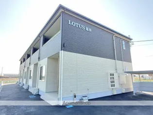 LOTUS篠原の画像