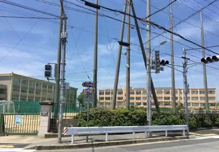 シティハイツ竜が岡の周辺