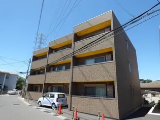 ステラートの画像