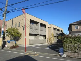 テール カンパーニュの画像