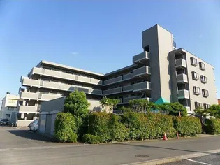 エレガンスの画像