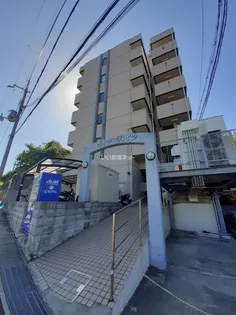 ヴィップハイツの画像