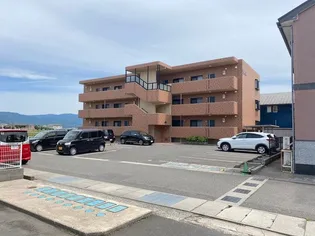 グランパ ハルーカの画像