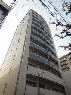 ニューボンデージの画像