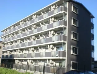 セントグレースの画像