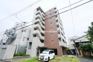 サイプレス ワンの画像