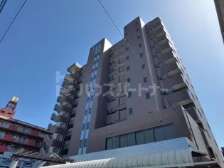 スタークレストの画像