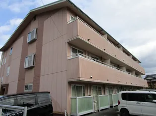 レノンの画像