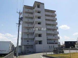 アンジューVIの画像