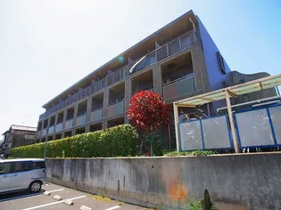 カーサベルデの画像