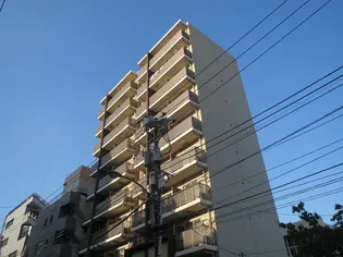 シエル白山B館【5階】の外観