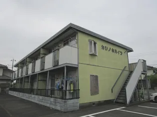 カシノキハイツの画像