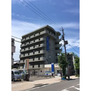 ウェークフォレストブロンドの画像