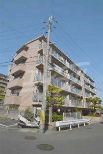 アムール千里の画像