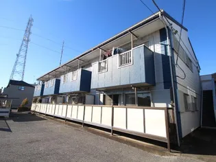 パールハイツマツバの画像