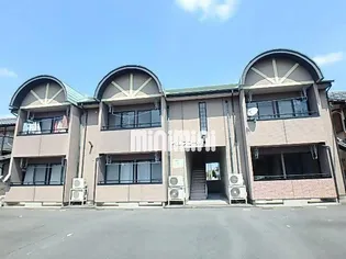 ベルフロールの画像