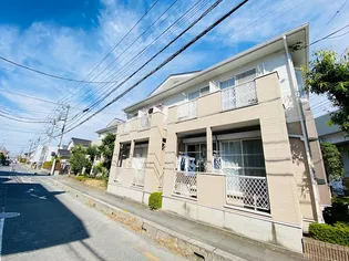 アディーンの画像