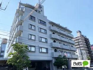シャンノールの画像